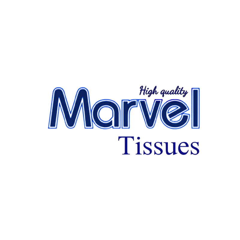 G N S L Holdings (Pvt) Ltd